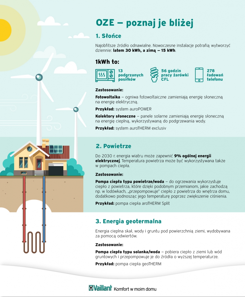 Vaillant_infografika_02 fot. Vaillant
