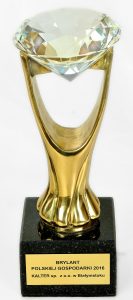 Brylant-Polskiej-Gospodarki-statuetka-1000