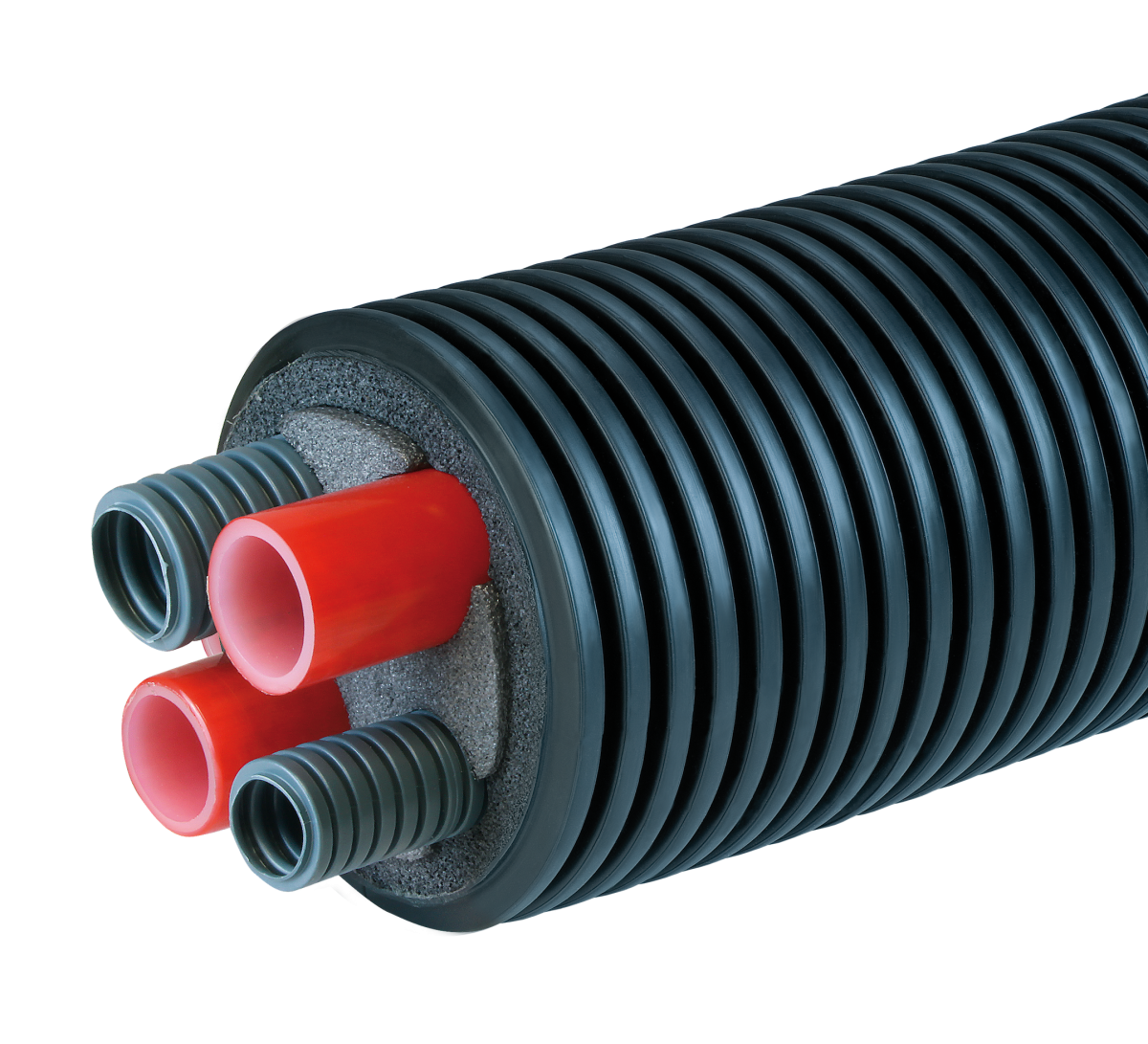 austropex austropex